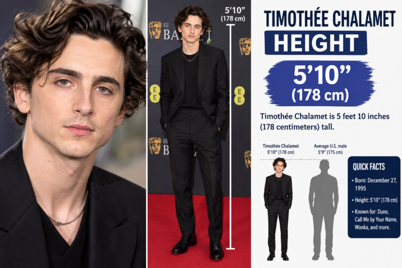 Timothee Chalamet Height: How Tall Is He?