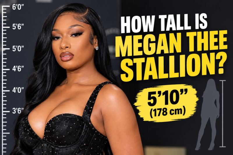 How Tall Is Megan Thee Stallion? Her Height Explained