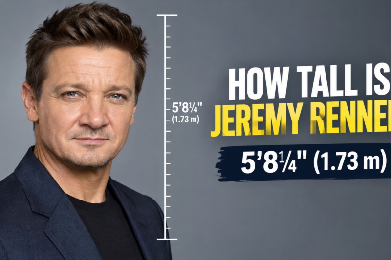 How Tall Is Jeremy Renner? His Height in Feet